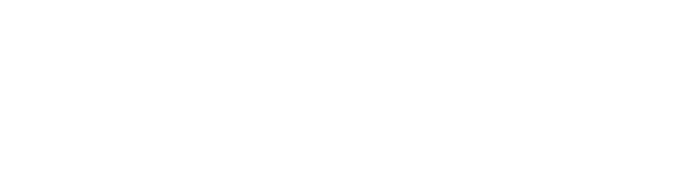 Lentner Partners Logo